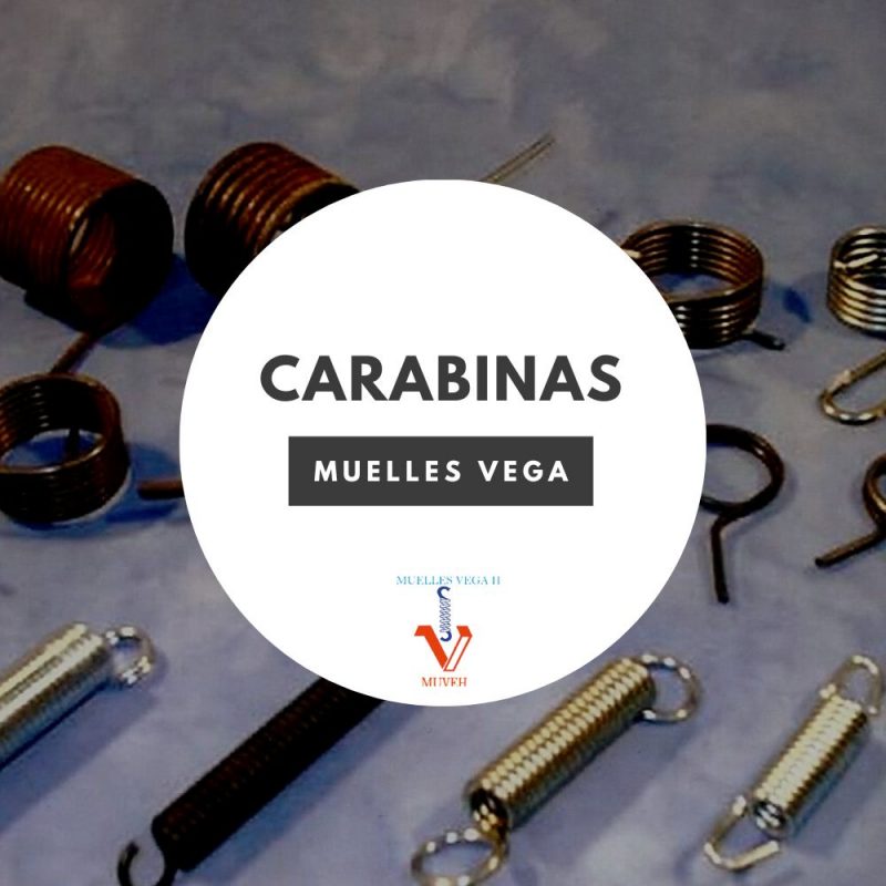 Carabinas 1